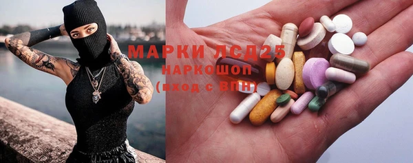 ГАЛЛЮЦИНОГЕННЫЕ ГРИБЫ Арсеньев
