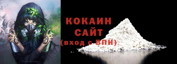 ГАЛЛЮЦИНОГЕННЫЕ ГРИБЫ Арсеньев