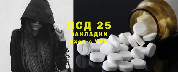 ГАЛЛЮЦИНОГЕННЫЕ ГРИБЫ Арсеньев