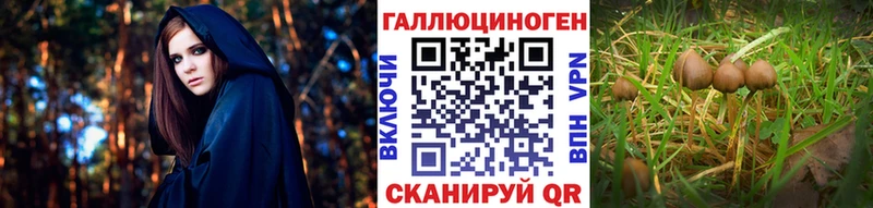 Псилоцибиновые грибы MAGIC MUSHROOMS  Купить где  Киреевск 