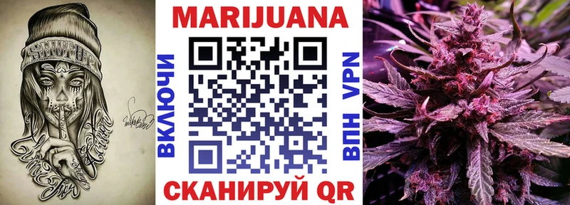 Бошки марихуана THC 21%  Купить где  Киреевск 